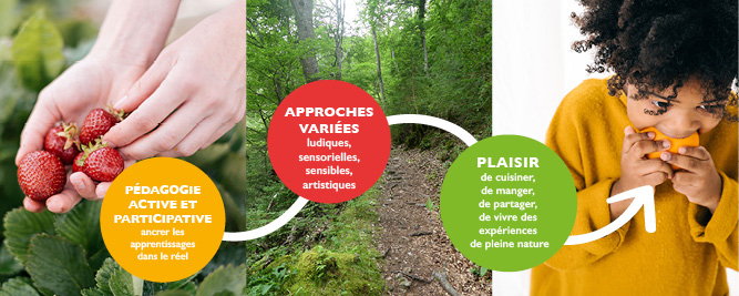 image approche éducative variée